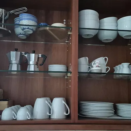 Schmallenberger Mauerblümchen