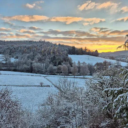 Schmallenberger Mauerbluemchen