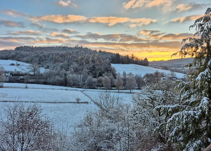 Schmallenberger Mauerbluemchen
